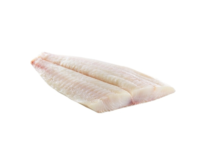 Halibut Fillet