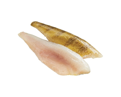Perch Fillet