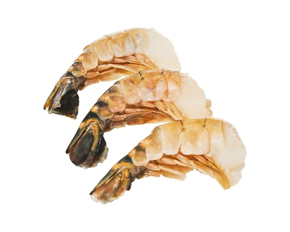 Freshwater Shrimp