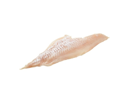 Haddock Fillet