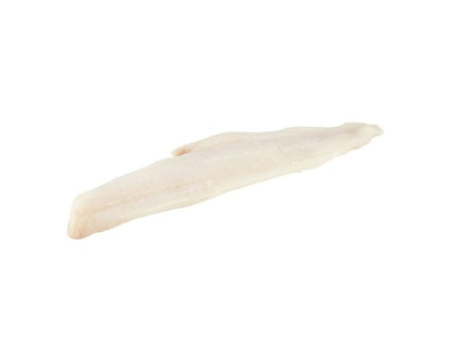 Haddock Fillet