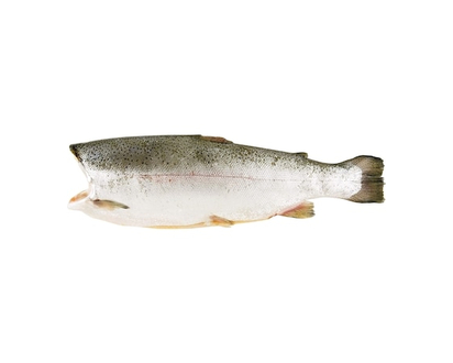 Steelhead,Â WholeÂ