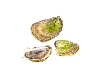 Beau Soleil Oysters - 1.0 EA