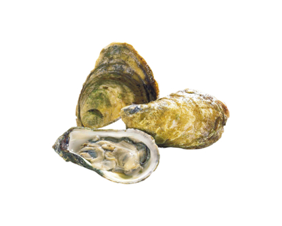 Raspberry Point Oysters, 50 Piece - 1.0 EA