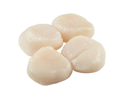 Frozen Hokkaido Scallops 14-16