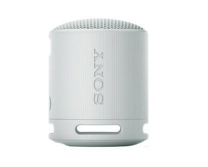 Sony SRSXB100/H Speaker - 1 EA