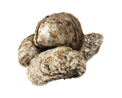 Blue Point Oysters - 1.0 EA
