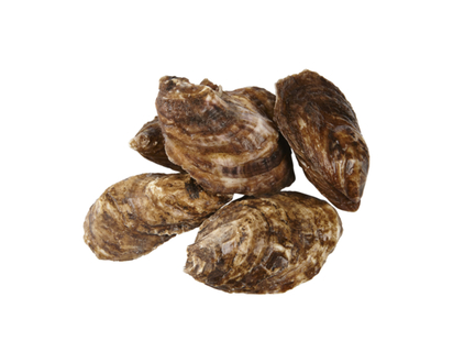 Oysters - 1.0 EA