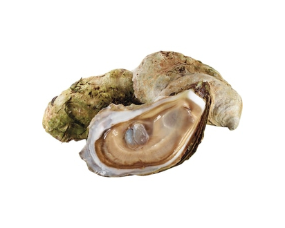 Pickle Point Oysters - 1.0 EA