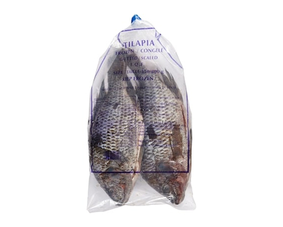 Tilapia, Frozen