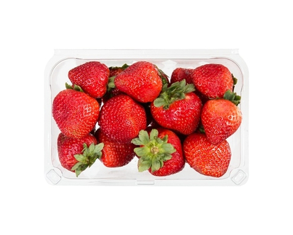 Organic Strawberries 1 LB - 454.0 G