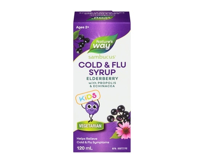 Nature's Way Sambucus, Cold and Flu Care Standardized Elderberry Kids 120ml Syrup - 120.0 ML