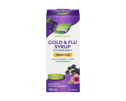 Nature's Way Sambucus Cold and Flu Care Immune Standardized Elderberry - 120.0 ML