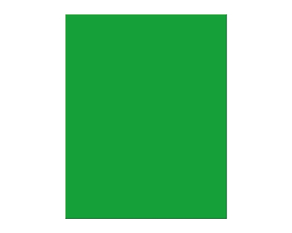 Dixon Premium Poster Board - Green - 1.0 EA