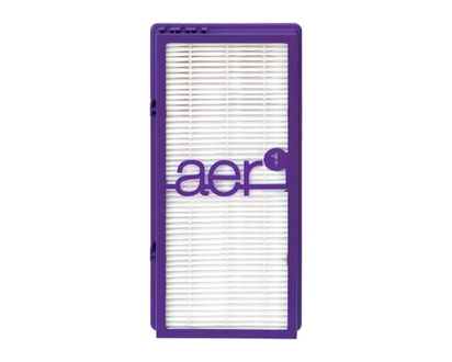 Bionaire Permanent Air Purifier Filter - 1 UNT