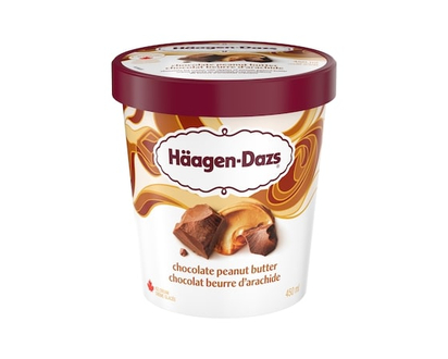Haagen Dazs Chocolate Peanut Butter Ice Cream - 450.0 ML