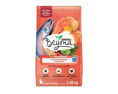 Purina Beyond Simply Salmon & Whole Brown Rice Recipe, Dry Cat Food - 1.36 KG