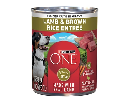 Purina ONE Tender Cuts in Gravy Lamb & Brown Rice Entrà©e, Wet Dog Food - 368.0 G