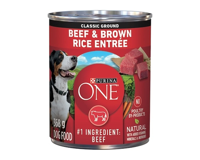 Purina ONE Classic Ground Beef & Brown Rice Entrà©e, Wet Dog Food - 368.0 G