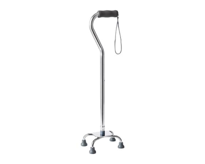 Life Brand Silver Cane - 1.0 EA