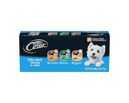 Cesar Classic Loaf In Sauce Adult Wet Dog Food Poultry Selects Variety Pack - 2.4 KG