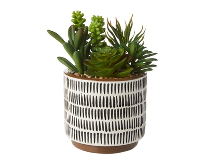 Life at Home Faux Succulent Arrangement in 2-Tone Brown and White Dash Design Ceramic Pot, 7.08 in - 1.0 EA