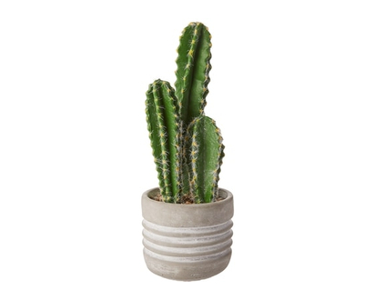 Life at Home Cactus artificiel dans un pot en céramique couleur sable, 15,5 po (39,4 cm) - 1.0 EA