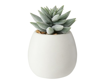 Life at Home Fausse mini succulente - 1.0 EA
