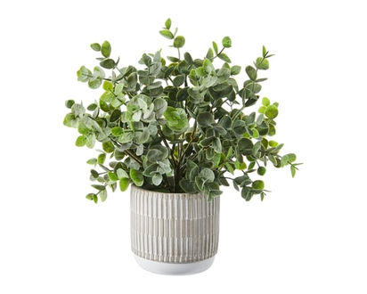 Life at Home Potted Faux Eucalyptus - 1.0 EA