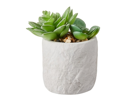 Life at Home Cactée miniature en pot blanc - 1.0 EA