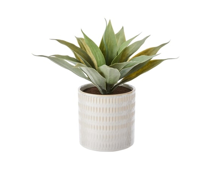 Life at Home Agaves artificiels avec pot - 1.0 EA