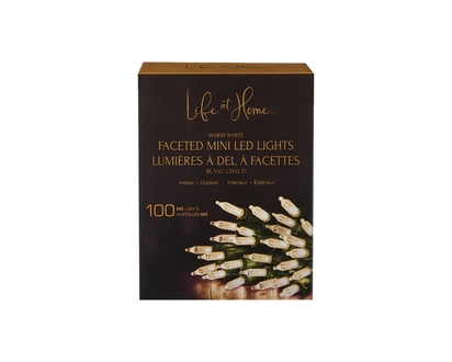 Life at Home Faceted Mini LED Lights 100 Count - Warm White - 1.0 EA