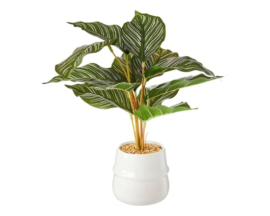 Life at Home Faux Silk Calathea Ornata Plant with Ceramic Pot - 1.0 EA