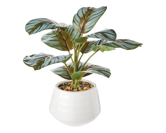Life at Home Faux Silk Calathea Orbifolia Plant with Ceramic Pot - 1.0 EA