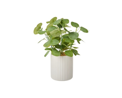 Potted Faux Eucalyptus Plant - 1.0 EA