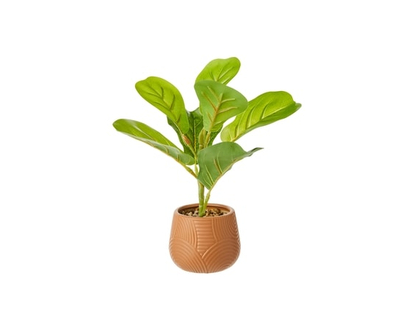 Potted Faux Fiddle Leaf Plant - 1.0 EA