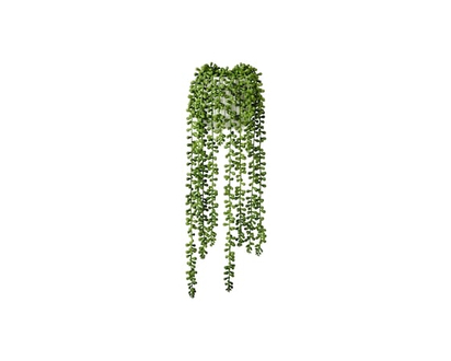 Potted Faux Donkey Tail Plant - 1.0 EA