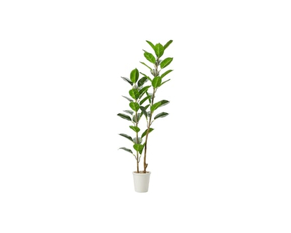 Potted Faux Ficus Tree - 1.0 EA