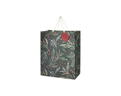 Life at Home Large Gift Bag - Cypress - 1.0 EA