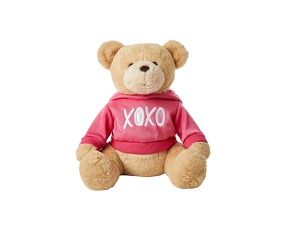 Dressed Up Teddy Plush - Pink - 1.0 EA