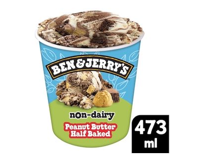 Ben & Jerry's Non-Dairy Peanut Butter Half Baked® Frozen Dessert - 473.0 ML