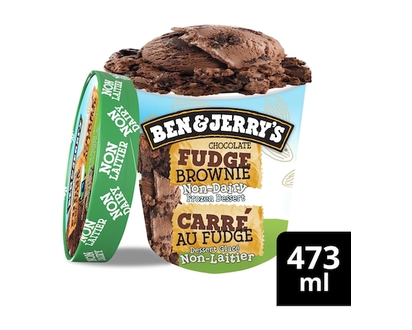 Ben & Jerry's Non-Dairy Chocolate Fudge Brownie Frozen Dessert - 473.0 ML