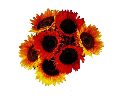 Fiesta Sunflower Bunch - 1.0 EA
