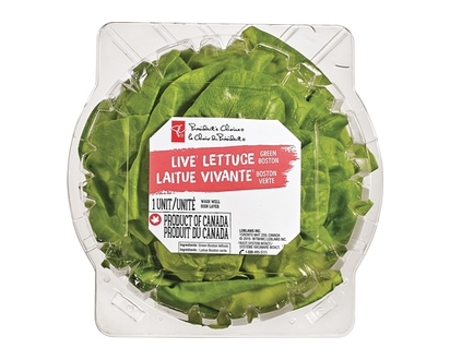 President's Choice Live Lettuce Boston - 1.0 EA