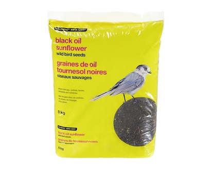 No Name Black Oil Sunflower Wild Bird Seeds - 8.0 KG