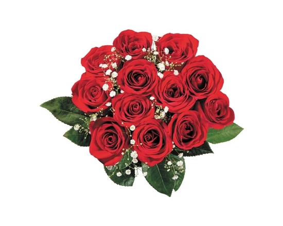 President's Choice Dozen Red Roses Dressed - 1.0 EA