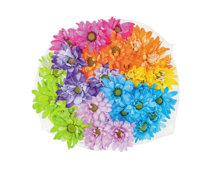 President's Choice Colour Pop Daisies - 1.0 EA
