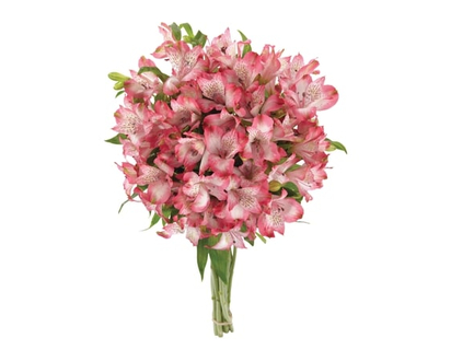 le Choix du Président Bouquet Floral Alstroemeria - 1.0 EA