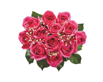 President's Choice Dozen Roses in assorted colours - 1.0 EA