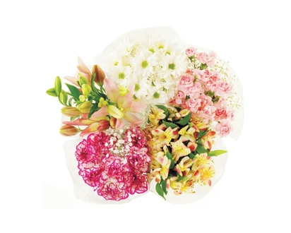 President's Choice Mini Carnation bunch - 1.0 EA